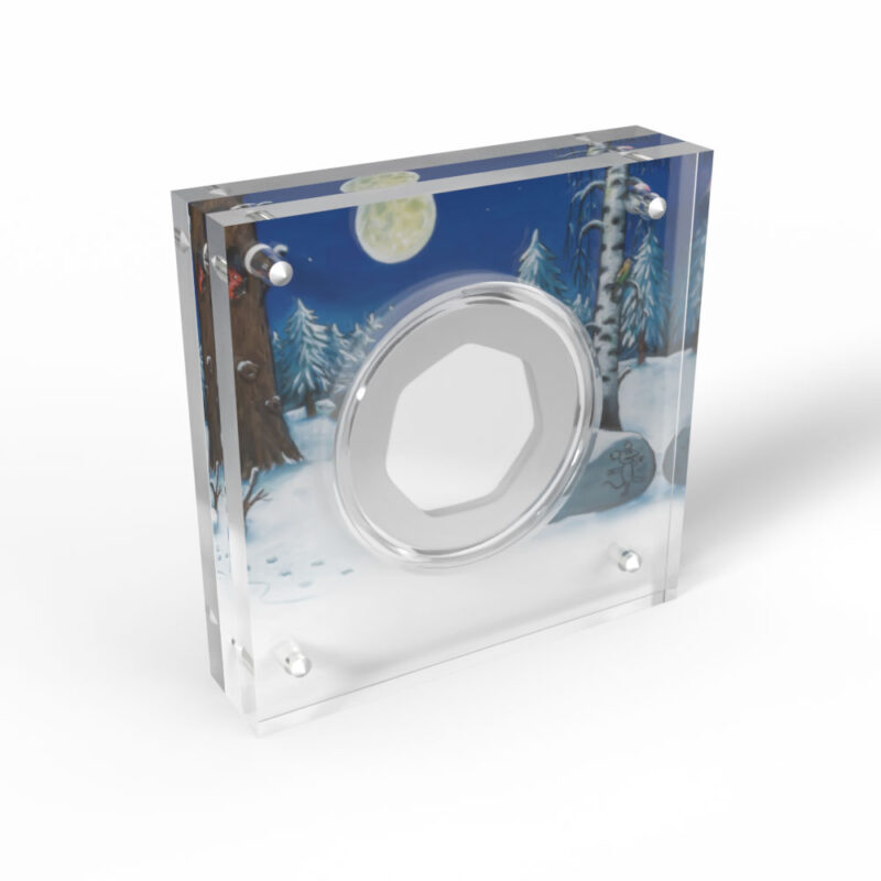 Snowy forest acrylic coin display.