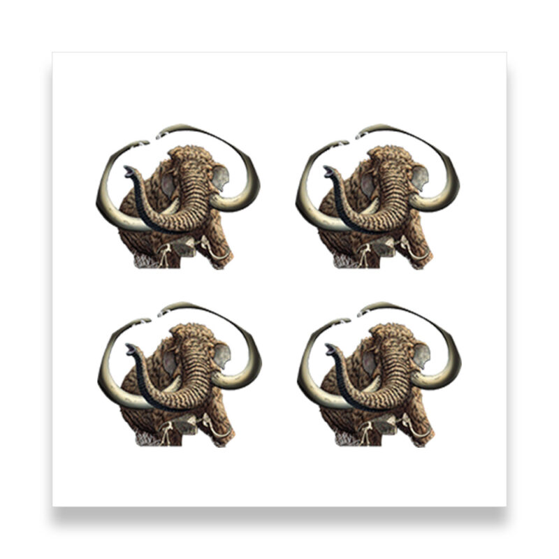 Four woolly mammoth illustrations on white background.